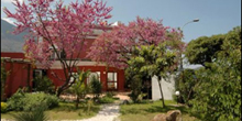 Albergo Terme Italia