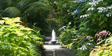 Giardini la Mortella