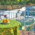 piscine5