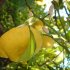 dsc00092
