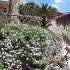 foto_06