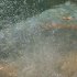 botte_idromassaggio_in_piscina_coperta_1_1