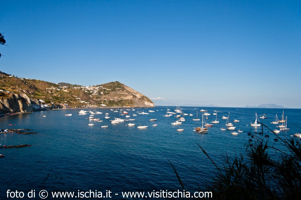 isola_ischia-55