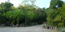 Pineta Mirtina ex Villari