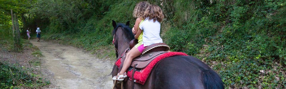 Horse riding on mount Epomeo