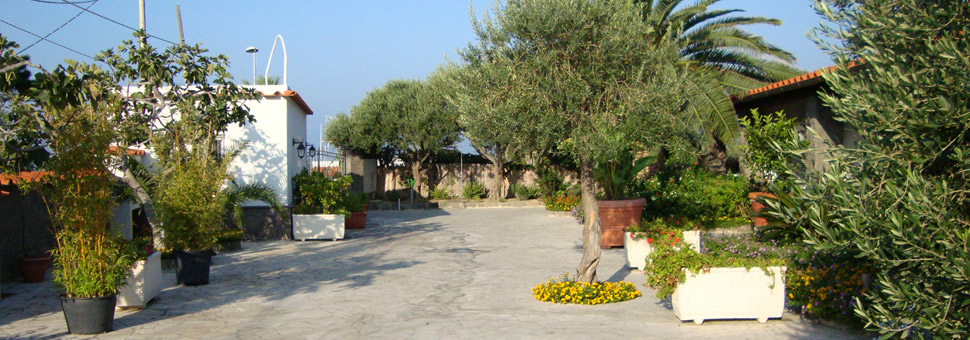 top Residence le Vigne