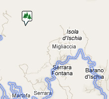 Mappa del Bosco della Falanga